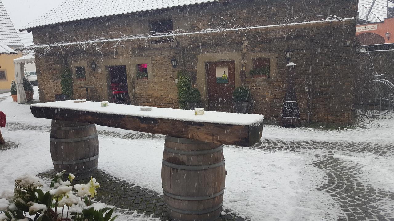 Der Patrizierhof - Weingut Gasthof Hotel - Familie Grebner Grosslangheim المظهر الخارجي الصورة