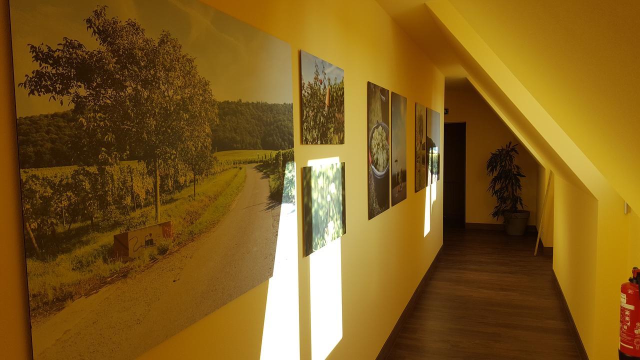 Der Patrizierhof - Weingut Gasthof Hotel - Familie Grebner Grosslangheim المظهر الخارجي الصورة